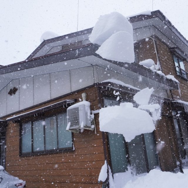 雪害　雪
